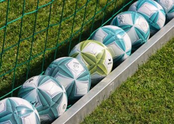 Brighton and Hove Albion Legends: Celebrating the Club’s Icons