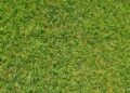 Revolutionizing English Football: Manchester City’s Impact on the Premier League