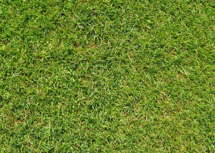 Revolutionizing English Football: Manchester City’s Impact on the Premier League