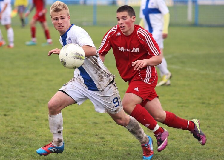Fulham FC: Building a Promising Future in English Football