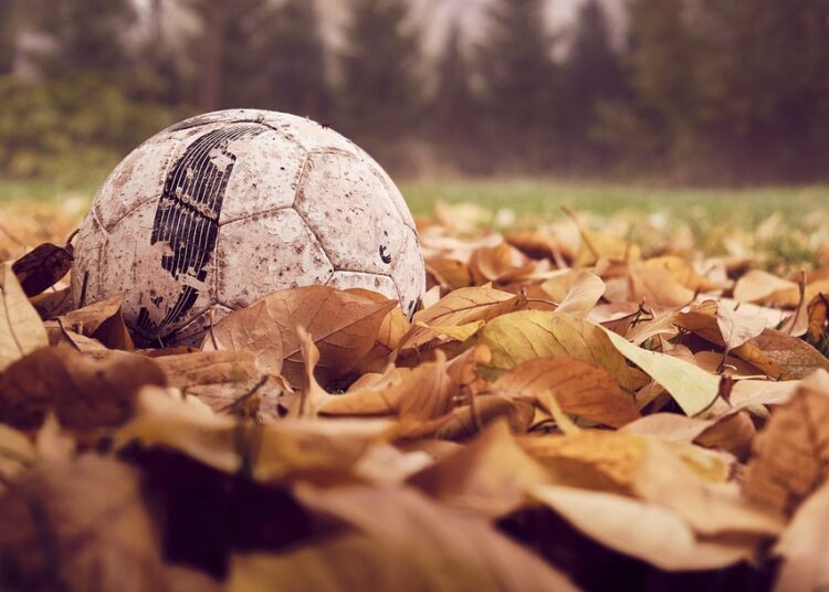 From Underdogs to Contenders: Brighton’s Impressive Journey to the Top