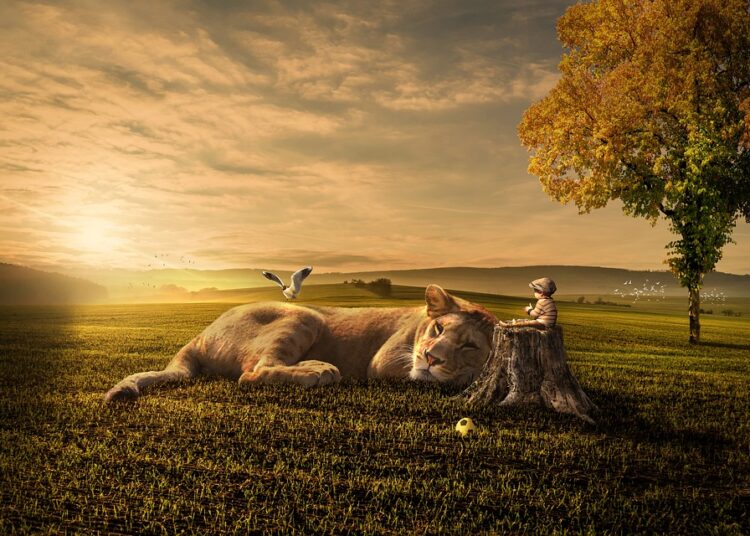 Everton FC’s Remarkable Journey Towards Success