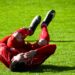 Legendary Wins: Reliving Fulham FC’s Most Memorable Trophies