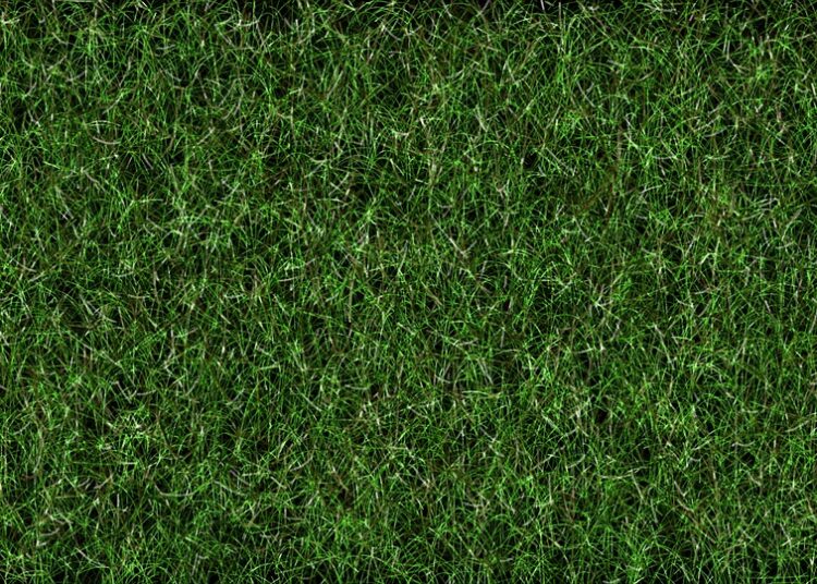 Breaking Records: Fulham FC’s Spiraling Net Worth and Financial Prosperity