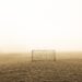 Unveiling Fulham FC’s Glittering Trophies: A Legacy Worth Celebrating